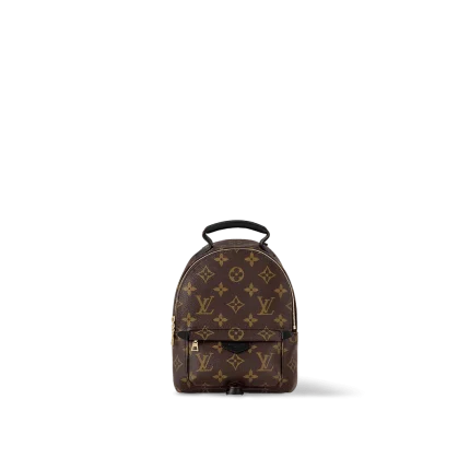 Louis Vuitton M44873 Palm Springs Mini